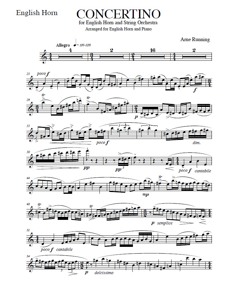 single page of sheet music; contact me for accessible version